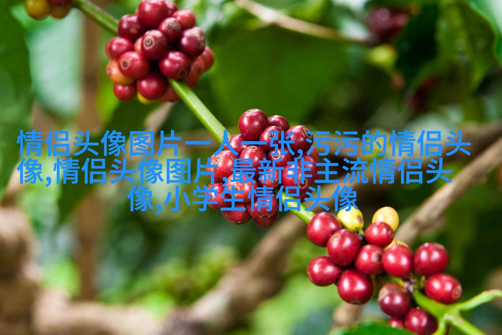 永远不撞的情侣头像动漫(共20张)