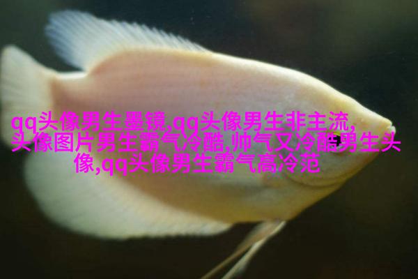 比较有气质的男人微信头像(优选18张)
