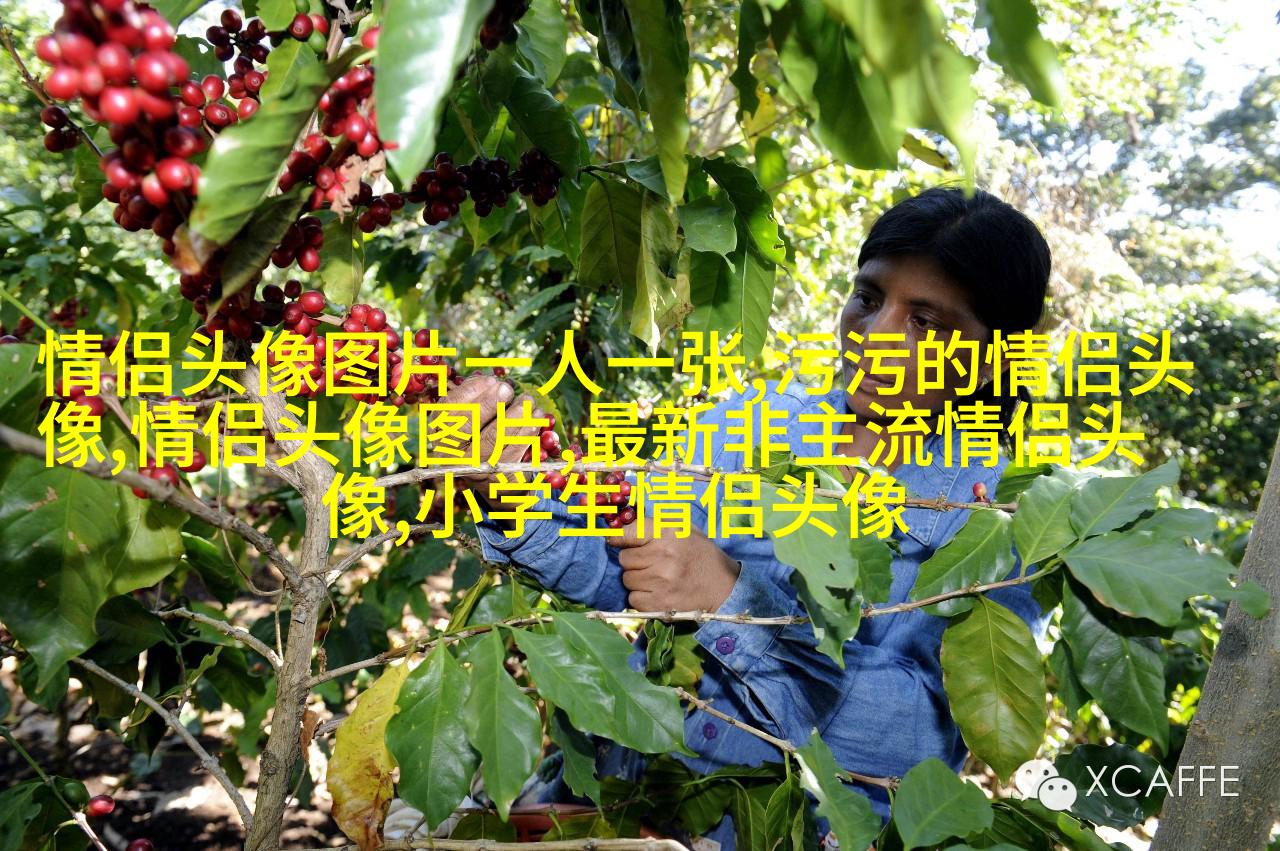永远不撞的情侣头像动漫(共20张)