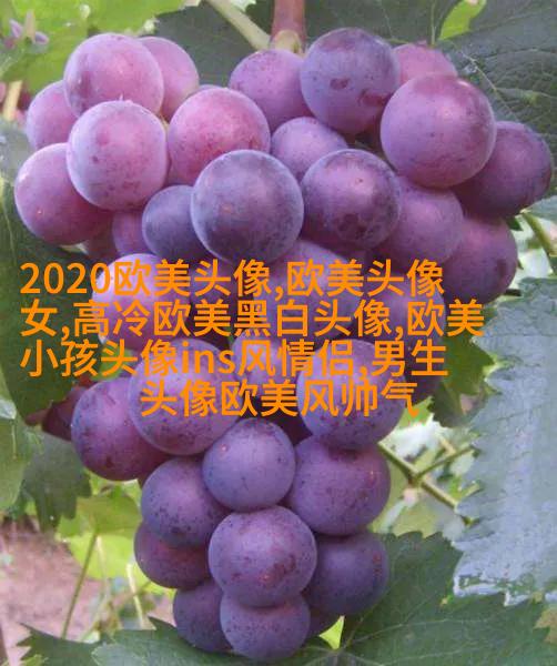 2023年最火的欧美头像(精选14张)