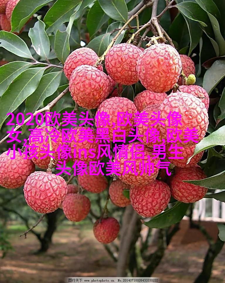 2023年最火的欧美头像(精选14张)