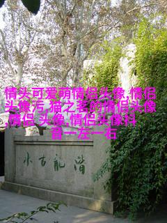 2023年微信头像最吉利好运图片(精选24张)