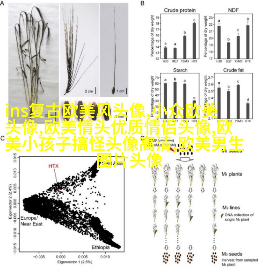 欧美小女孩头像小清新_无敌萌萌哒