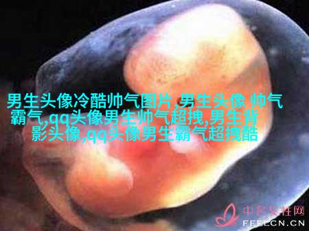 帅气欧美男生qq个性头像图片(22张)