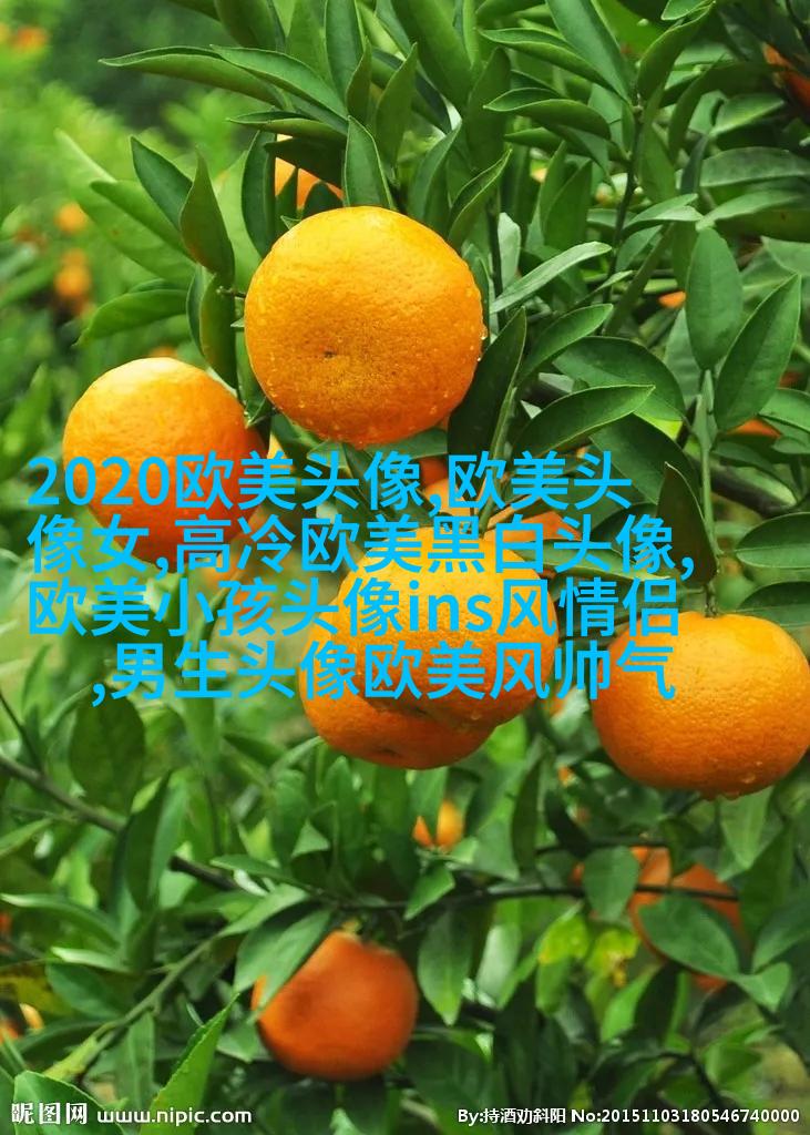 2023年最火的欧美头像(精选14张)
