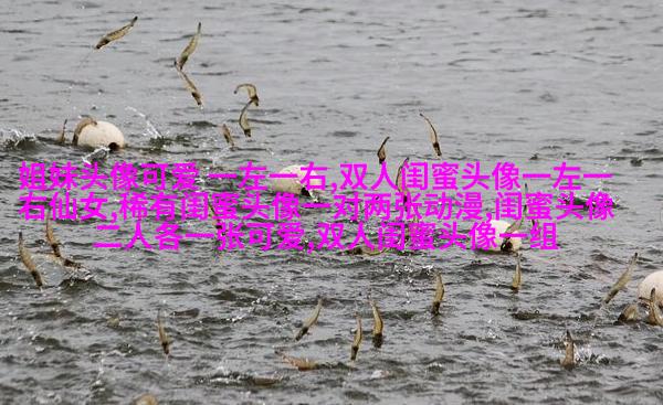 一组三个姐妹头像