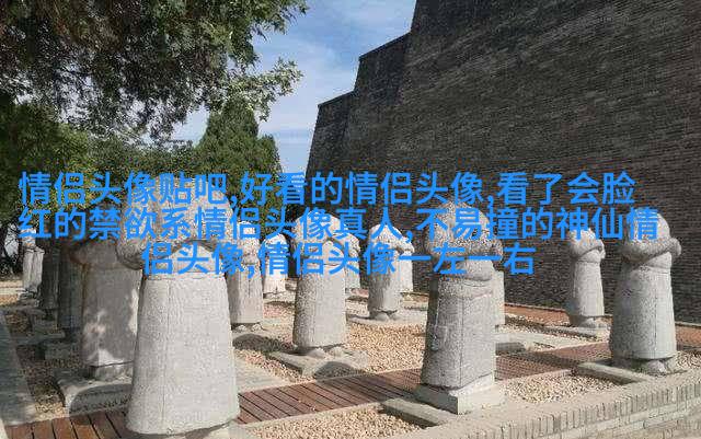 五星国旗情侣头像图片大全(16张)