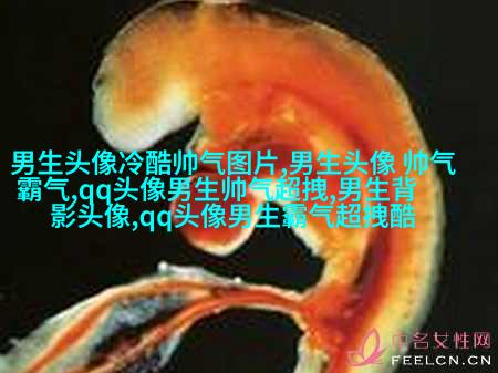 帅气欧美男生qq个性头像图片(22张)
