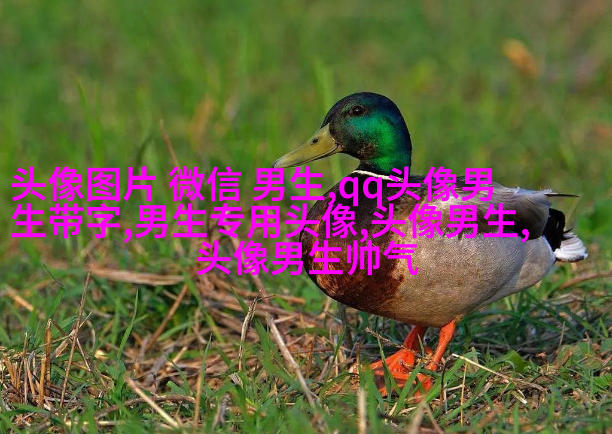 霸气超拽的qq男生头像图片(共18张)