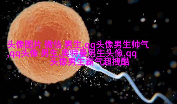 男生头像冷酷帅气图片(18张)