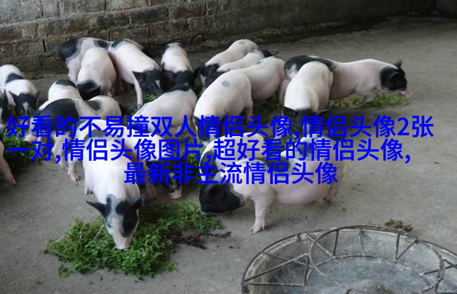 2023能带来好运的微信头像图片(共24张)