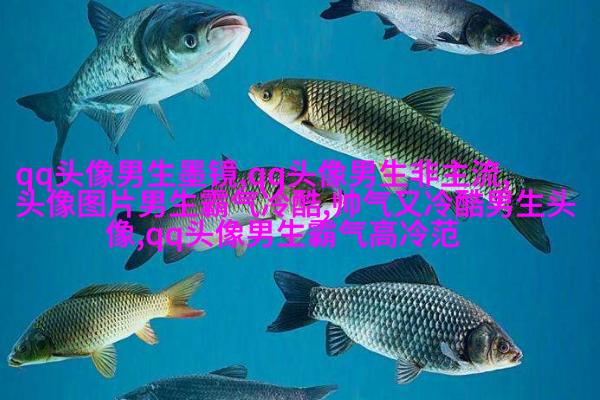 比较有气质的男人微信头像(优选18张)