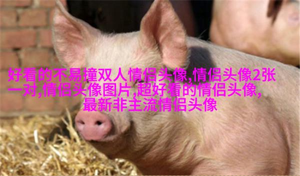 2023能带来好运的微信头像图片(共24张)