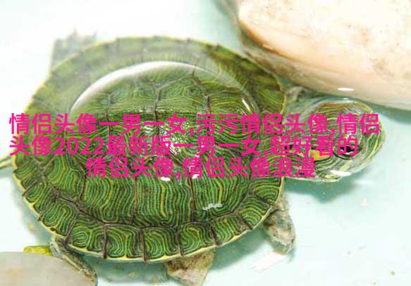 微信气质女神头像(共24张)
