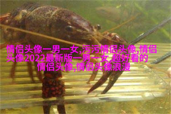 微信气质女神头像(共24张)