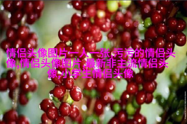 永远不撞的情侣头像动漫(共20张)