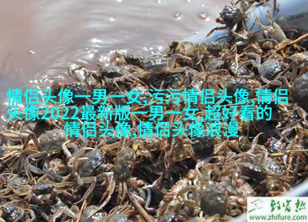 微信气质女神头像(共24张)