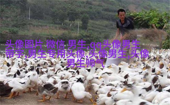 霸气超拽的qq男生头像图片(共18张)