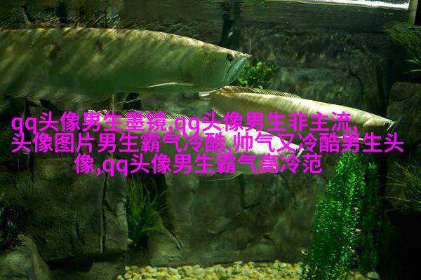 比较有气质的男人微信头像(优选18张)