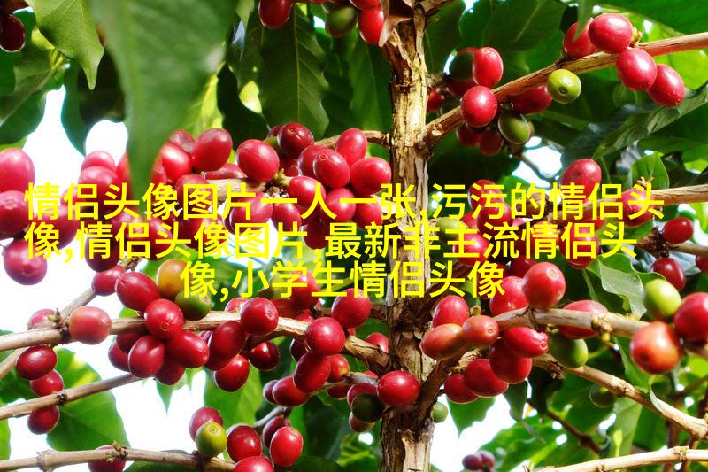 永远不撞的情侣头像动漫(共20张)