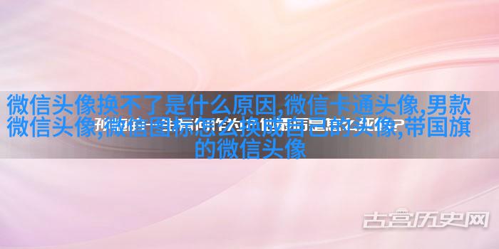 宋姓微信头像图片大全(共15张)