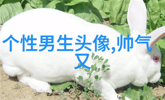 带姓的头像男生图片(共20张)