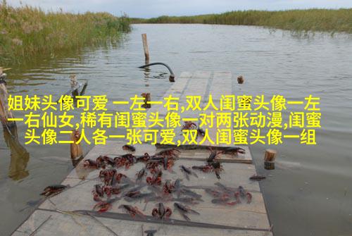一组三个姐妹头像