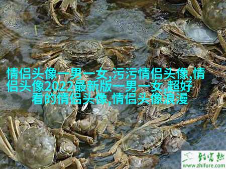 微信气质女神头像(共24张)