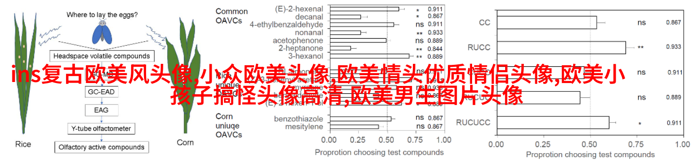 欧美小女孩头像小清新_无敌萌萌哒