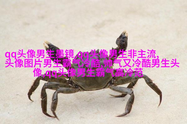 比较有气质的男人微信头像(优选18张)