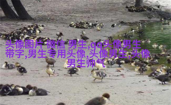 霸气超拽的qq男生头像图片(共18张)