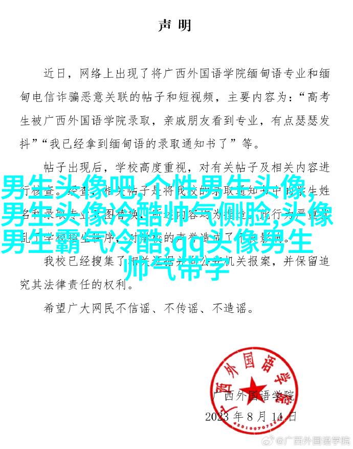 二次元男生头像图片(20张)