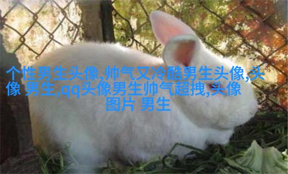 带姓的头像男生图片(共20张)