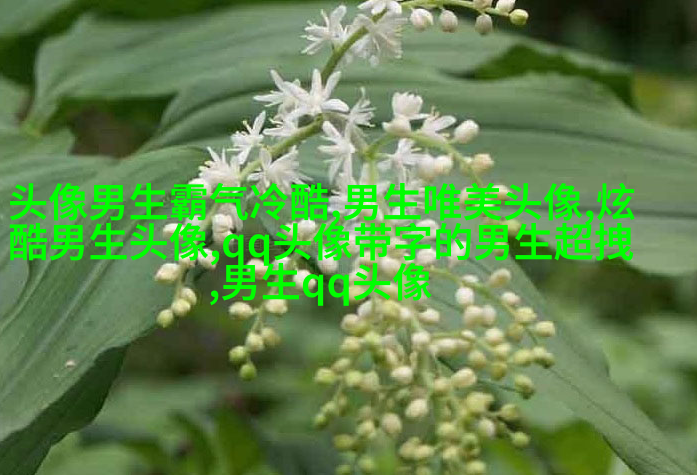 一眼就心动的男生头像图片(共16张)