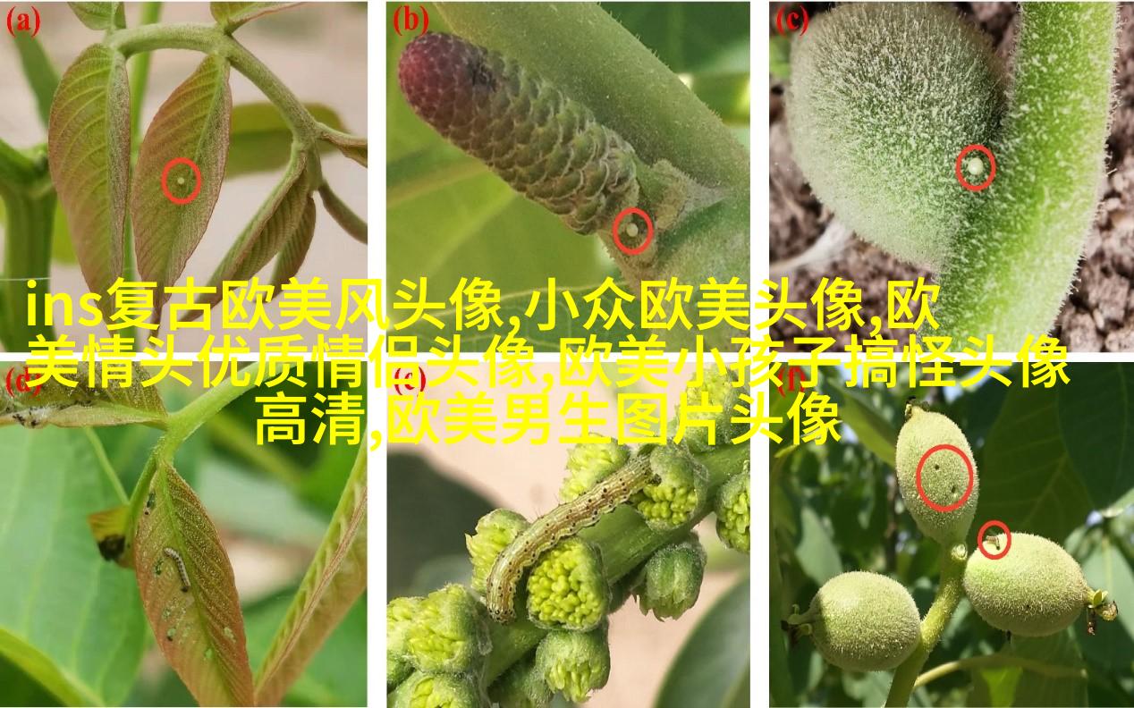 欧美小女孩头像小清新_无敌萌萌哒