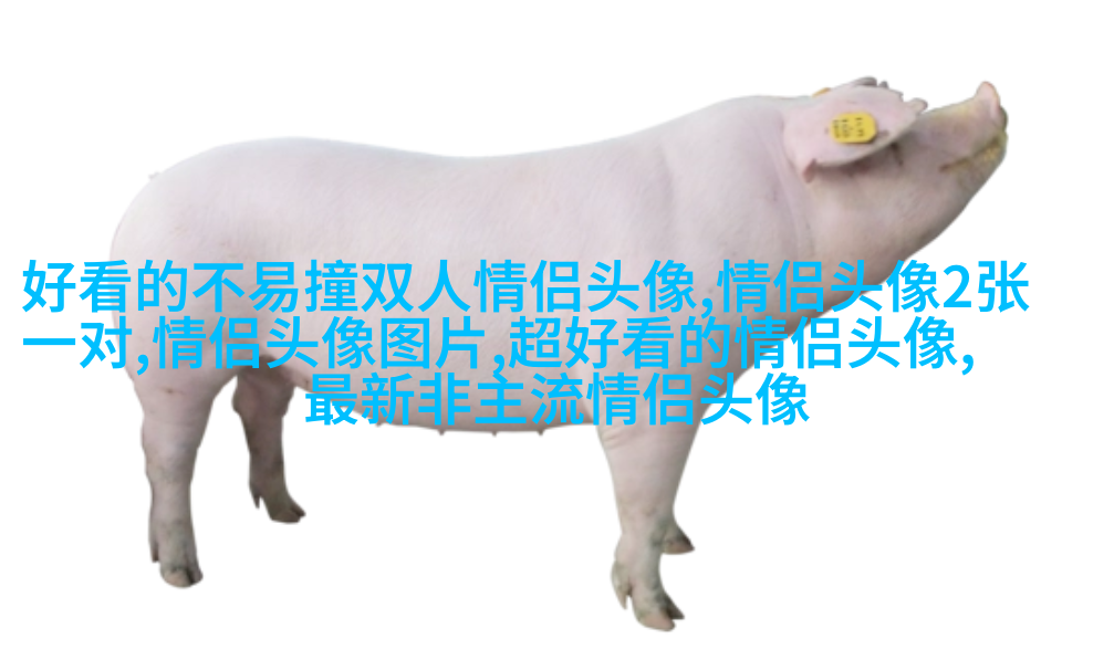 2023能带来好运的微信头像图片(共24张)